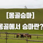 [몽골승마] 몽골에서 승마란?