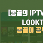 몽골의 IPTV – LOOK TV로 몽골어 공부하기(무료 콘텐츠)