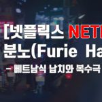 [넷플릭스]분노(Furie – Hai Phong)